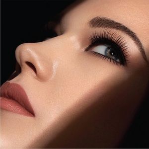 Kevyn Aucoin Indecent Mascara NIB